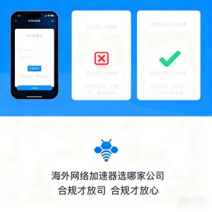 海外网络加速器选哪家公司？合规资质 + 避坑指南，跨境需求不踩雷