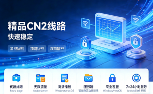 跨国网络学习中，加速器为何成为“刚需”助力!  　　