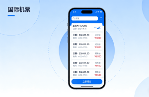 国际机票购买总失败?轻蜂海外网络加速器，帮你轻松避坑、顺利购票!