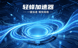 国内看TED卡顿-轻蜂加速器减少延迟与卡顿