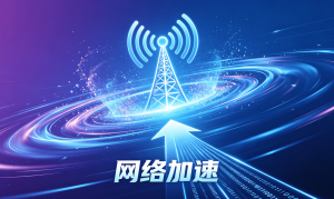 加速器网页版真的能用吗?网络问题该如何解决?