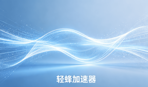 苹果加速器推荐排行榜：实测轻蜂加速器，解决网络卡顿难题！