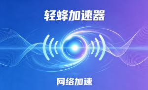 网游加速器全面解析：从原理到优选指南