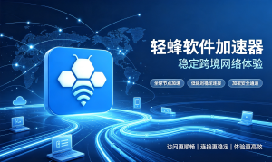 稳定的国际加速器