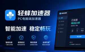 Raz线上学习网络太差?别踩坑，不收费的加速器真心不推荐