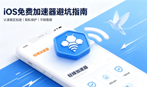 安卓轻蜂加速器免费版别下载，别让工具毁了你的工作和隐私