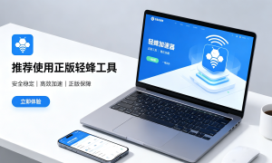 Temu 卖家必看!后台加载慢?这款加速器软件让运营效率翻倍