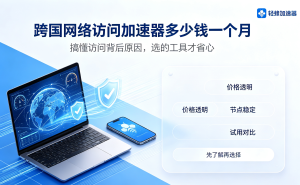 跨国网络访问加速器多少钱一个月，搞懂访问背后原因，选的工具才省心