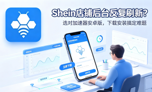 跨国网络访问加速器多少钱一个月，搞懂访问背后原因，选的工具才省心