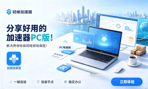 优质加速器有什么功能?跨国网络访问卡顿的解决措施