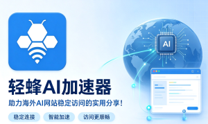 亚马逊运营效率低？使用轻蜂加速器加速PC网络！