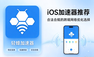 跨境办公、留学查文献网络卡?正规加速器怎么选?一次性讲明白