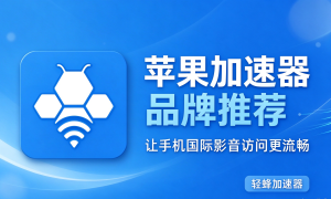 跨境办公、留学查文献网络卡?正规加速器怎么选?一次性讲明白