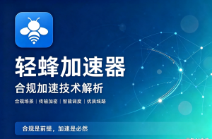 泡泡加速器专版VS轻蜂加速器!国际影音场景谁更适合?