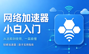 加速应用的加速器怎么选?稳定连接与优质线路缺一不可